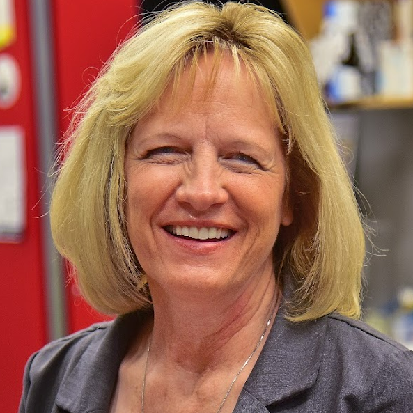 Screenshot 2024-05-04 143448 Screenshot 2024-05-04 143448